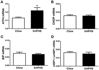 Effects of Fat and Sugar, Either Consumed or Infused toward the Brain, on Hypothalamic ER Stress Markers